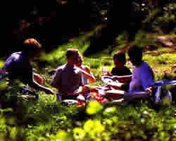 le Bois Laville